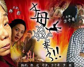 国产成人精品永久免费视频海报